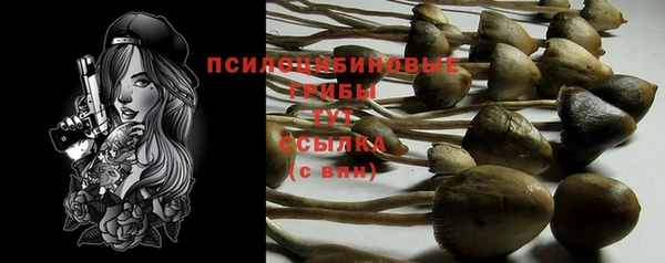2c-b Балахна
