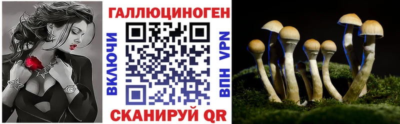 Галлюциногенные грибы MAGIC MUSHROOMS  Ногинск 